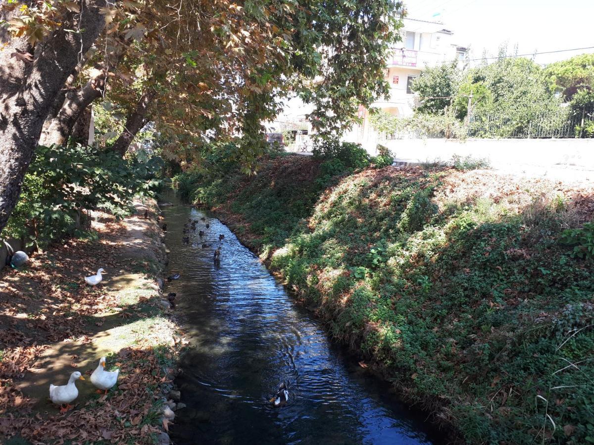 Samos Apart Pension Güzelçamlı Dış mekan fotoğraf