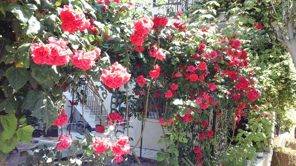 Samos Apart Pension Güzelçamlı Dış mekan fotoğraf