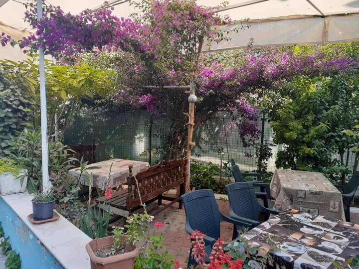 Samos Apart Pension Güzelçamlı Dış mekan fotoğraf