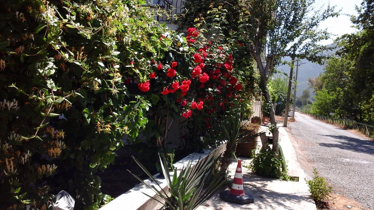 Samos Apart Pension Güzelçamlı Dış mekan fotoğraf